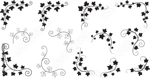 Collection of various black ivy leaf swirls and vines on white background
