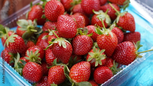Fresh and Delicious Strawberries Perfect for Summer Treats