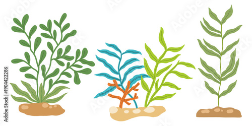 Colorful seaweed and underwater aquatic plants illustration set. Hand drawn marine algae and coral reef flora collection