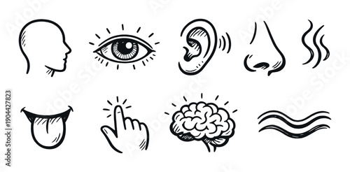 Illustrated symbols for human senses on dark background