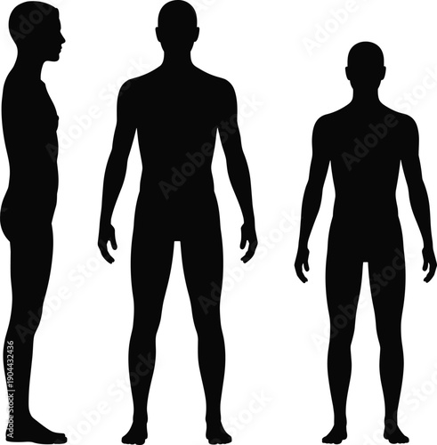 Human male body silhouette, front side back views, full length anatomy figure, flat vector illustration isolated on white