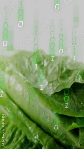 Vertical video: Binary glyphs falling from top revealing lettuce on pale gray backdrop to show data