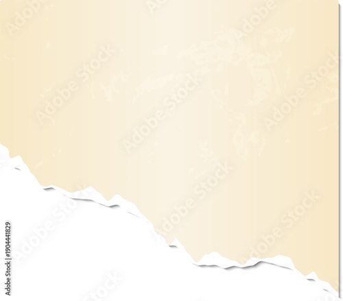 Aged cream paper with ripped bottom edge