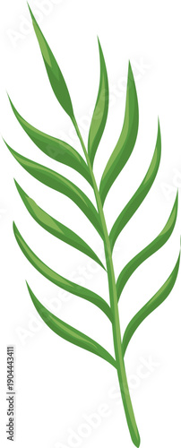 Green tropical palm frond vector representing nature
