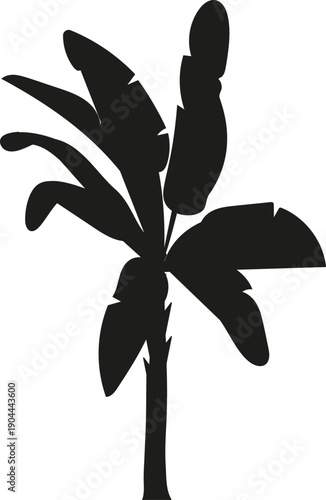 Tropical banana plant silhouette representing summer vacation