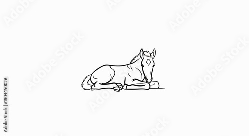 A simple black and white outline drawing of a young horse lying down