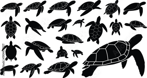Sea turtle silhouette set collection, black marine reptile icons, swimming turtle shapes isolated on 