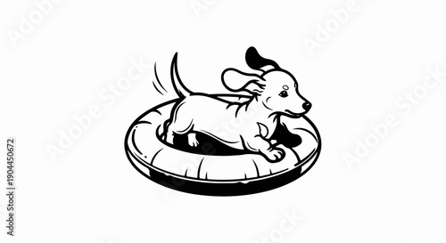 A happy, short-legged dog playfully jumps inside a circular inner tube