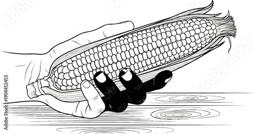 A hand holds a fresh ear of corn over a wooden surface
