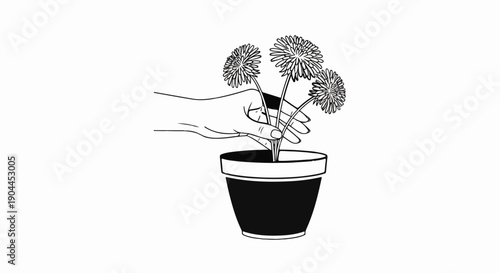 A hand carefully holds a potted plant with delicate flowers