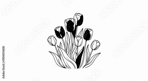 A monochrome sketch of a bouquet of blooming tulips
