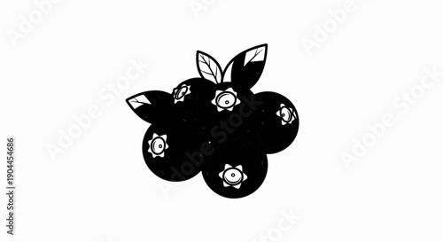 A minimalist black and white illustration of a cluster of ripe blueberries