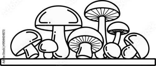 A line drawing of a cluster of mushrooms with detailed gills