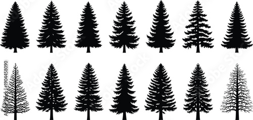 Set of black pine tree silhouettes, evergreen conifer forest fir and spruce vector icons isolated on white background for Christmas and nature design