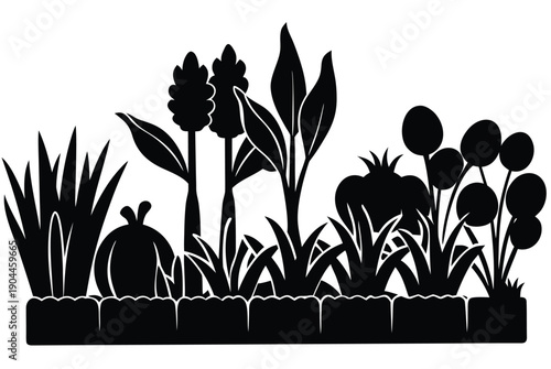 vegetable garden silhouette vector illustration