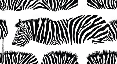 PattGen_zebra_line_e100