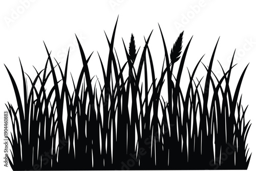 grass field silhouette vector illustration