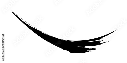 vector black line, grunge brush strokes ink paint isolated on white background. eps10