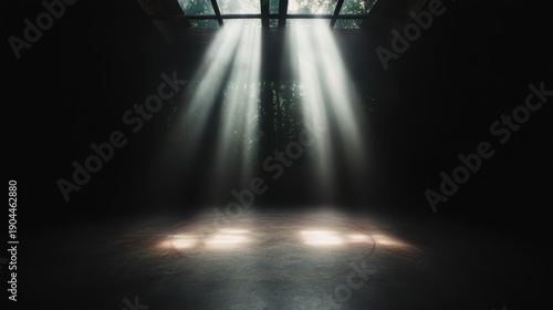 This striking image showcases beams of sunlight filtering through a dark room, creating a dramatic contrast and an ethereal atmosphere filled with mystery.