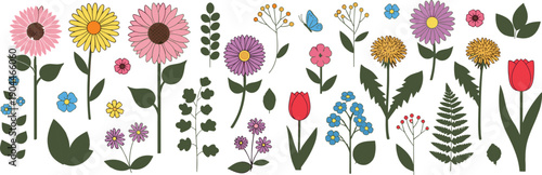 Colorful flowers, leaves, butterfly, nature illustration, floral vector, decorative design, spring blossoms, garden art, botanical drawing, cad drawing flat vector illustration