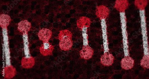 Human Biology DNA Skull Brain image 4k