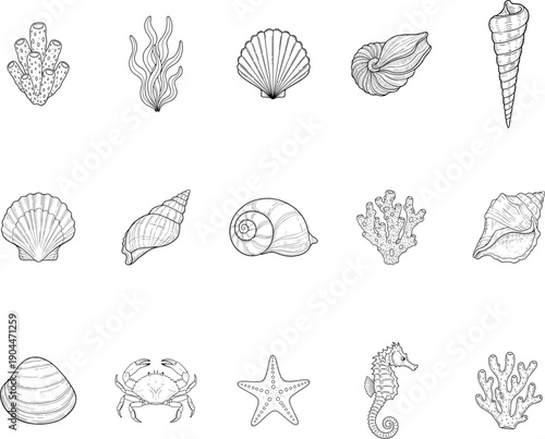 Seashell and marine animals outline vector set, shells coral starfish crab seahorse ocean nature illustration on transparent background
