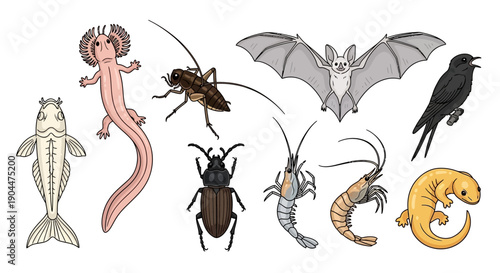 Diverse cartoon animal species collection on white background