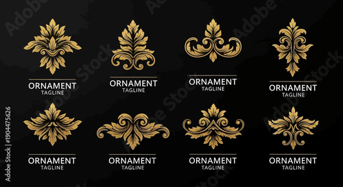 Set of Golden Floral Ornaments and Elegant Decorative Design Elements