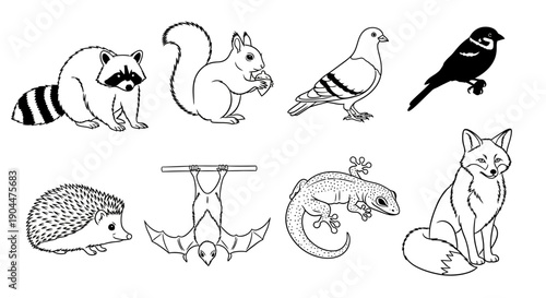 Collection of various wild animal illustrations in black and white outlines.