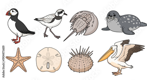 Collection of diverse ocean animals and coastal birds vector illustrations.