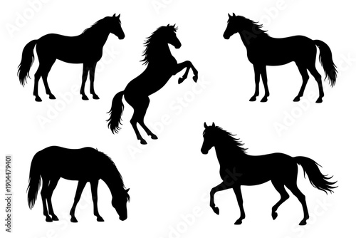 Silhouette of horses in various poses on white background.