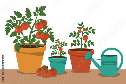 Tomato plants in pots with watering can on brown surface indoors