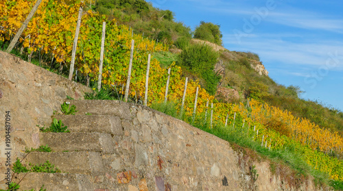 Rebentreppe Treppe Rüdesheim Herbst