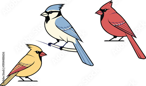 Colorful illustration of cardinal birds perched on branches, symbolizing nature's beauty and vibrant colors