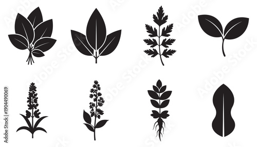 Traditional medicinal plants solid black silhouette vector