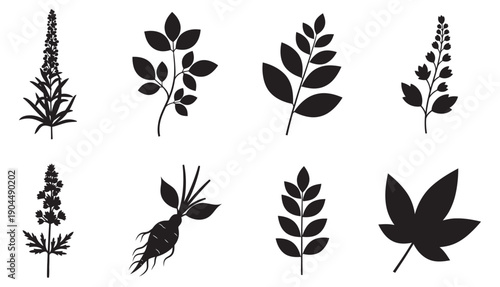 Traditional medicinal plants solid black silhouette vector