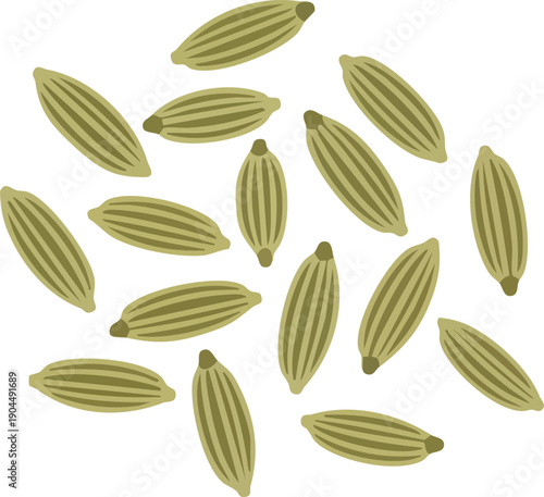 Fennel Seeds Spice Aromatic Culinary Ingredient for Cooking and Flavor Enhancer