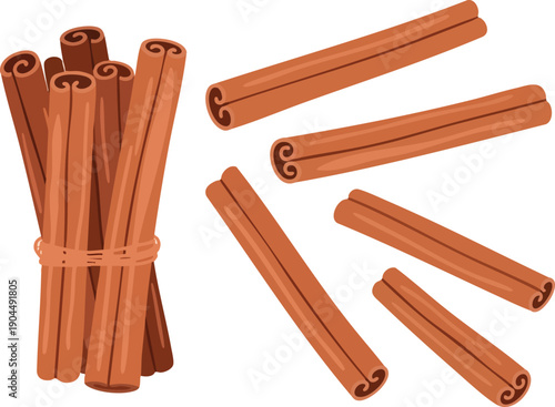 Aromatic Spice Cinnamon Sticks Bundle and Scattered Arrangement Illustration