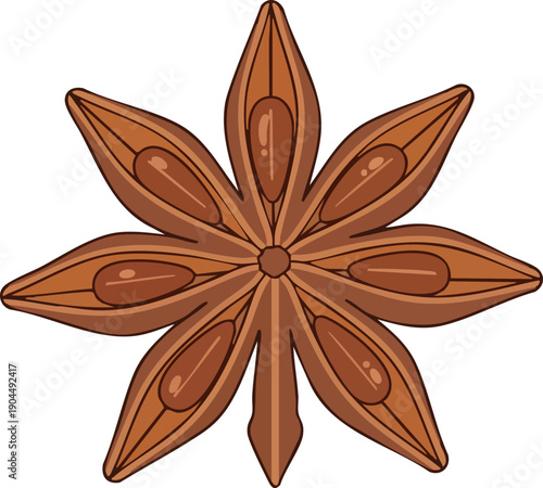Aromatic Star Anise Spice Illustration Culinary Ingredient and Flavorful Condiment