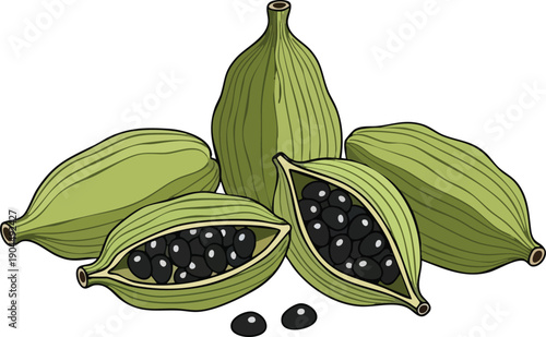 Fresh Green Cardamom Pods Displaying Black Seeds for Culinary or Aromatic Use