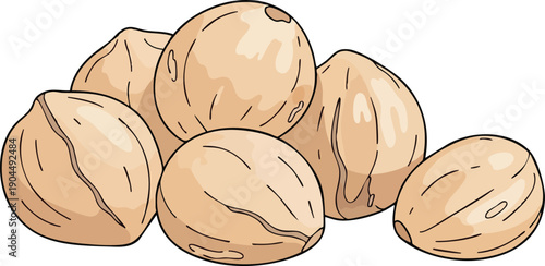 Pile of Hazelnuts Illustration for Healthy Food Concepts