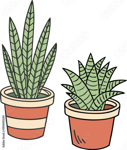 A simple illustration of two snake plants in terracotta pots
