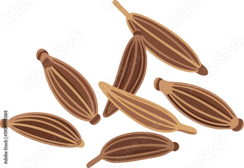 A close-up illustration of a collection of dried fennel seeds, showcasing their elongated, ribbed texture and brown color, perfect for culinary use and spice collections