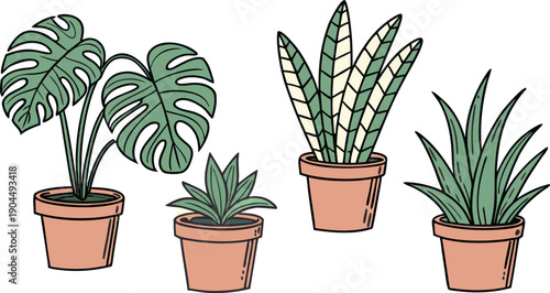 Add a touch of greenery to any room with this vibrant collection of potted houseplants, perfect for home decor inspiration and gardening enthusiasts