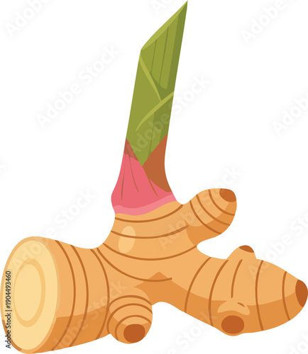 Vibrant Ginger Root Illustration with Fresh Sprout and Natural Texture
