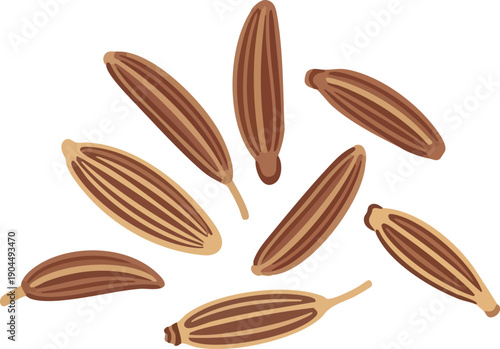A Scattering of Brown Cumin Seeds on a Light Background
