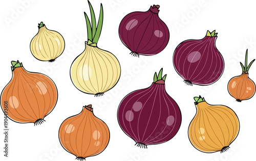 A Whimsical Collection of Colorful Onions A Culinary and Nutritional Delight