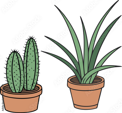 Illustration of two potted plants, a cactus and an aloe vera plant
