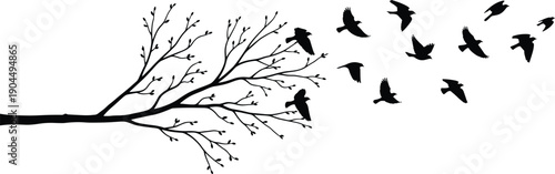 Flying birds silhouettes leaving tree branch symbolizing freedom change nature hope migration isolated on white background illustration