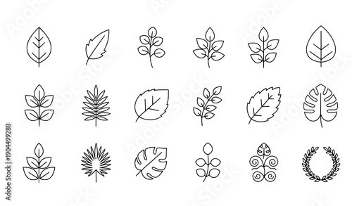 Minimal linear leaf icons for banners, shops, and web design